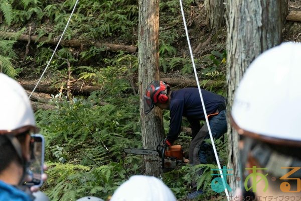 2025年11月3日_森林体験ツアーに行こう！