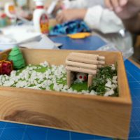 2025年11月24日_森の箱庭づくり_