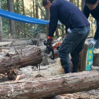 2025年11月3日_森林体験ツアーに行こう！