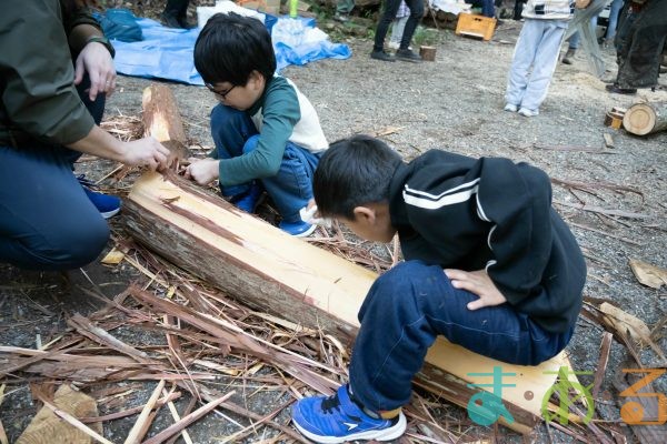 2025年11月3日_森林体験ツアーに行こう！