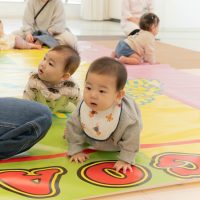 2025年11月11日_元気いっぱい!ニコニコはいはいレース