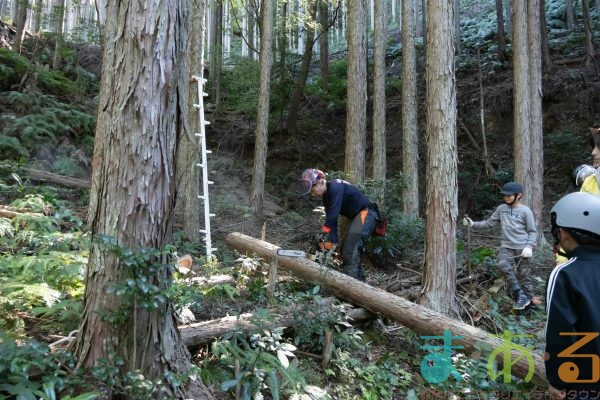 2025年11月3日_森林体験ツアーに行こう！