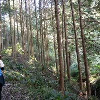 2025年11月3日_森林体験ツアーに行こう！