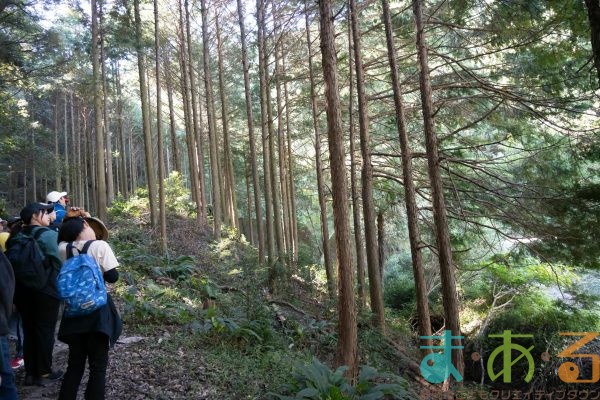 2025年11月3日_森林体験ツアーに行こう！