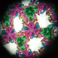 2026年2月8日_ま・あ・る×る・く・る特別講座