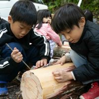 2025年11月3日_森林体験ツアーに行こう！