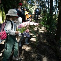 2025年11月3日_森林体験ツアーに行こう！