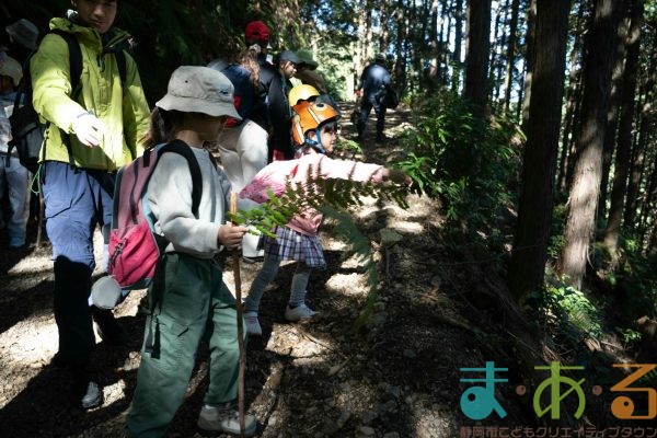 2025年11月3日_森林体験ツアーに行こう！
