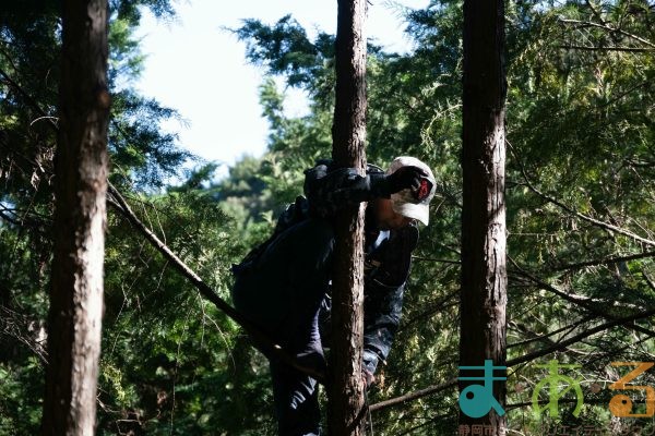 2025年11月3日_森林体験ツアーに行こう！