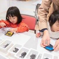 2025年11月14日_ぞうけいあそび（まっくらピカピカ）