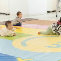 2025年11月11日_元気いっぱい!ニコニコはいはいレース