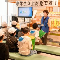 2025年11月13日_静岡市立宮竹小学校_DSC_7299_compressed