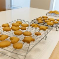 2025年11月16日_米粉のかぼちゃクッキーを作ろう!_