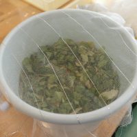 2025年11月22日_竹粉で生ゴミ堆肥を作ろう_