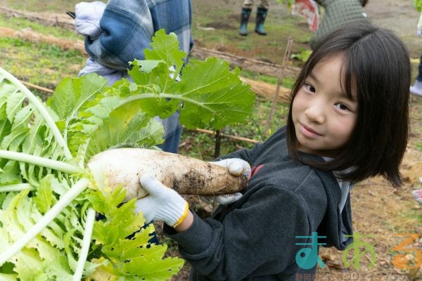 2025年12月20日_冬の里山で収穫体験