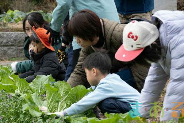 2025年12月20日_冬の里山で収穫体験