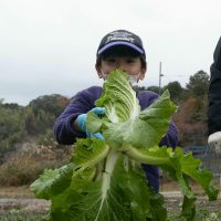 2025年12月20日_冬の里山で収穫体験