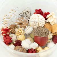 2025年12月13日_松ぼっくりのツリー作り