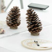 2025年12月13日_松ぼっくりのツリー作り