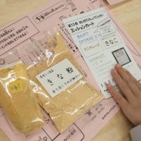 2025年11月29日_第13回はじめてのしょうてんがい