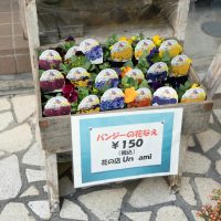 2025年11月30日_第13回はじめてのしょうてんがい