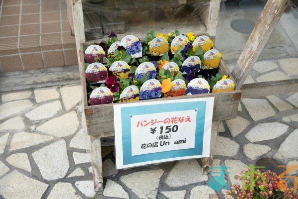 2025年11月30日_第13回はじめてのしょうてんがい