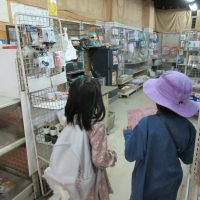 2025年11月29日30日_はじめてのしょうてんがい