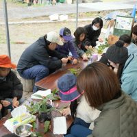 2025年12月20日_冬の里山で収穫体験