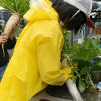 2025年12月20日_冬の里山で収穫体験