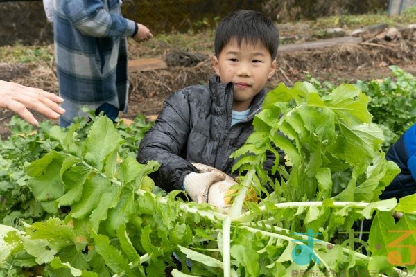 2025年12月20日_冬の里山で収穫体験