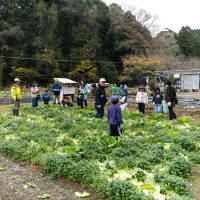 2025年12月20日_冬の里山で収穫体験