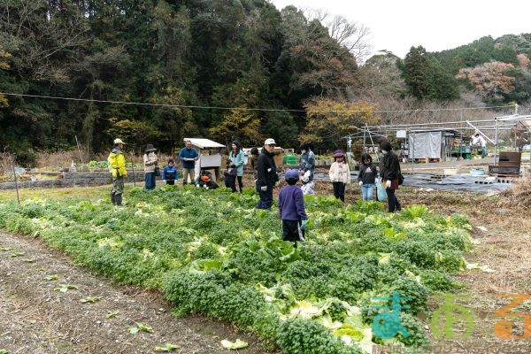 2025年12月20日_冬の里山で収穫体験