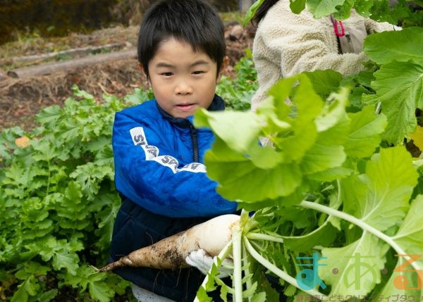2025年12月20日_冬の里山で収穫体験