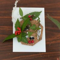 2025年12月20日_冬の里山で収穫体験