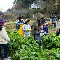 2025年12月20日_冬の里山で収穫体験