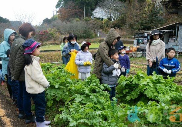 2025年12月20日_冬の里山で収穫体験