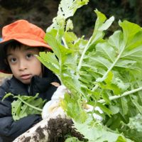 2025年12月20日_冬の里山で収穫体験