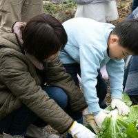 2025年12月20日_冬の里山で収穫体験