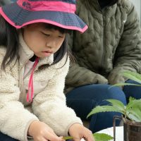 2025年12月20日_冬の里山で収穫体験