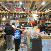 2025年11月29日30日_はじめてのしょうてんがい