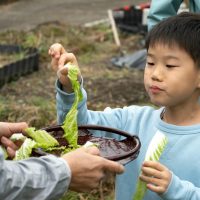 2025年12月20日_冬の里山で収穫体験