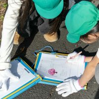 2026年1月19日_静岡市立服織西小学校_