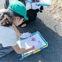 2026年1月19日_静岡市立服織西小学校_