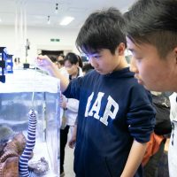 2026年1月12日_動物園の水族館のおしごと体験