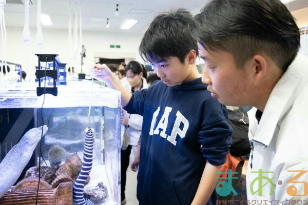 2026年1月12日_動物園の水族館のおしごと体験