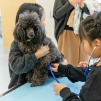 2026年1月12日_動物看護士のおしごと_