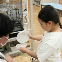 2026年1月12日_動物園の水族館のおしごと体験