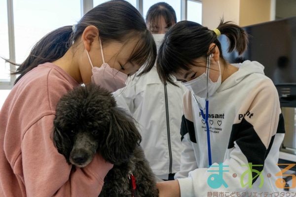 2026年1月12日_動物看護士のおしごと_