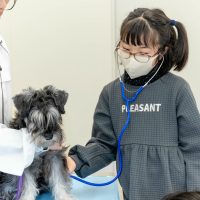 2026年1月12日_動物看護士のおしごと_