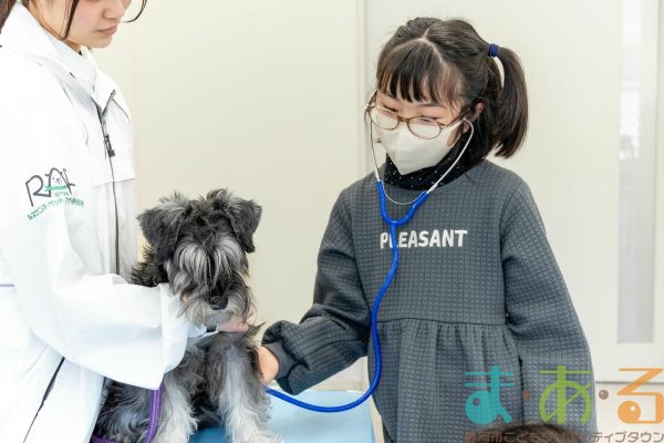 2026年1月12日_動物看護士のおしごと_